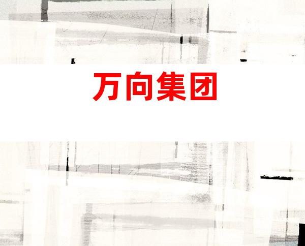 万向集团