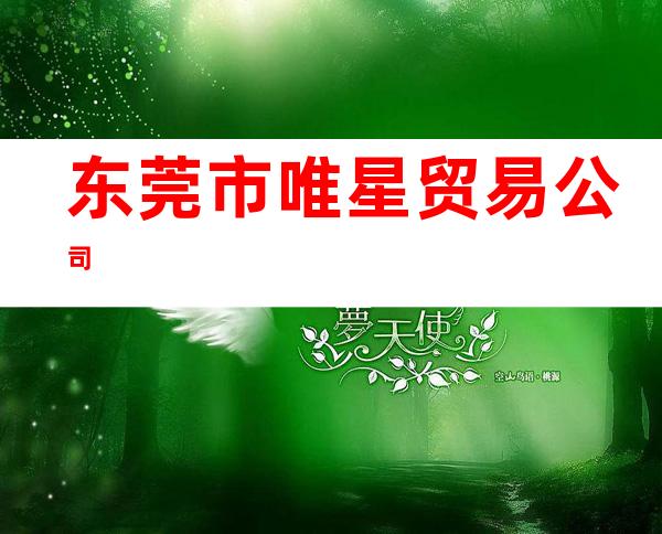 东莞市唯星贸易公司