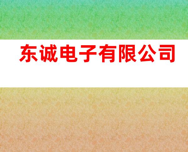 东诚电子有限公司
