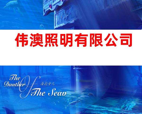 伟澳照明有限公司