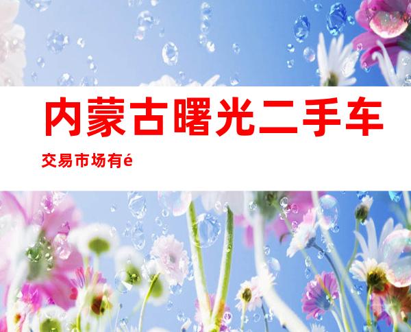 内蒙古曙光二手车交易市场有限责任公司