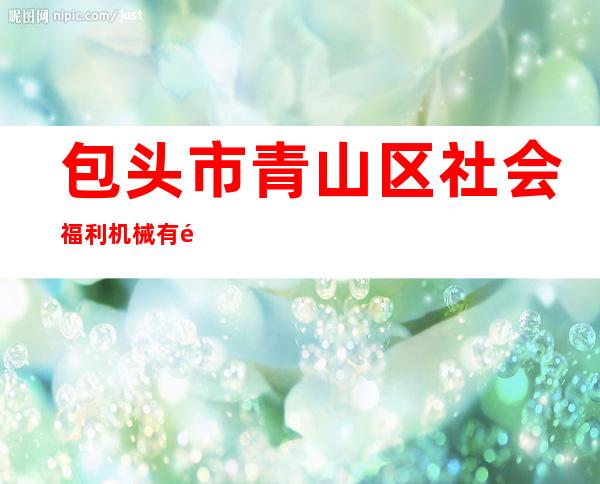 包头市青山区社会福利机械有限公司