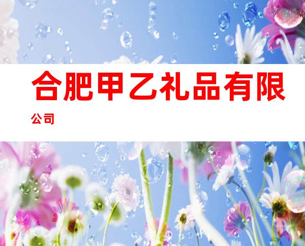 合肥甲乙礼品有限公司