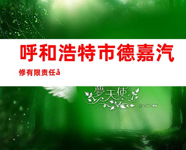 呼和浩特市德嘉汽修有限责任公司