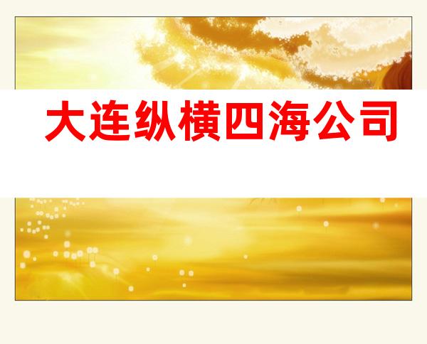 大连纵横四海公司