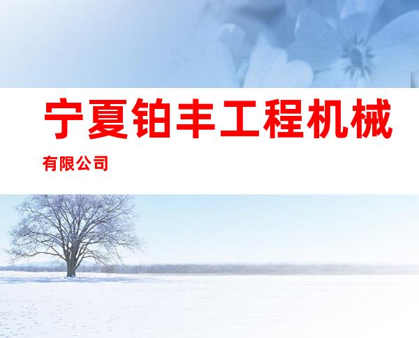 宁夏铂丰工程机械有限公司