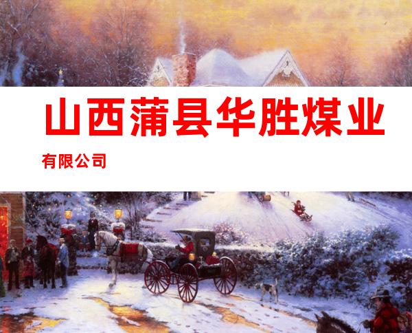 山西蒲县华胜煤业有限公司