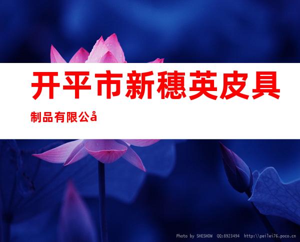 开平市新穗英皮具制品有限公司