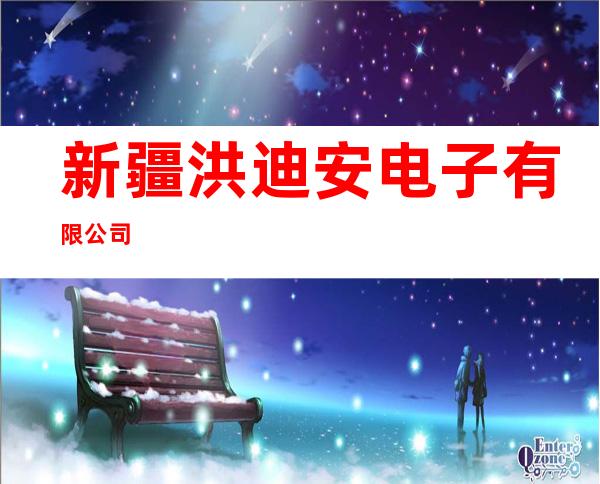 新疆洪迪安电子有限公司