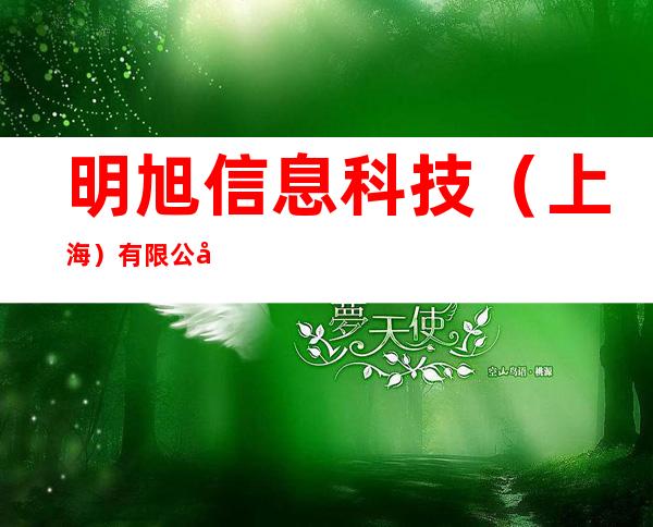 明旭信息科技（上海）有限公司