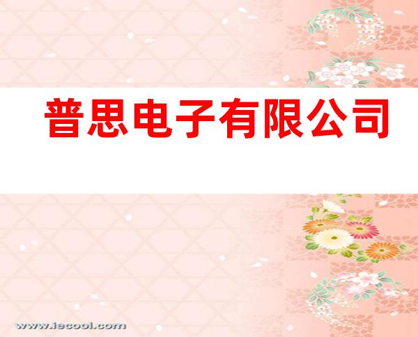 普思电子有限公司