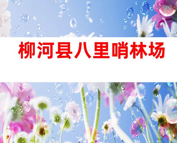 柳河县八里哨林场