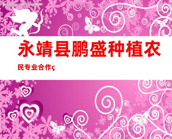 永靖县鹏盛种植农民专业合作社