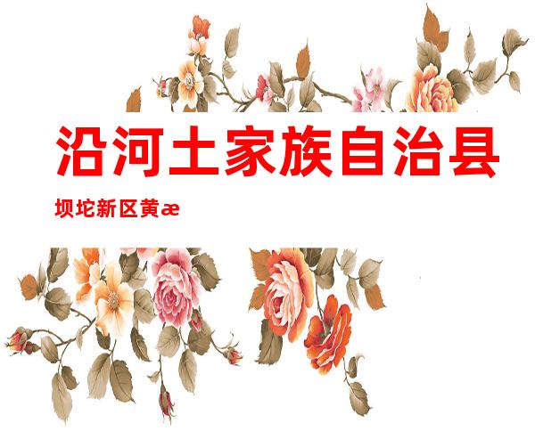 沿河土家族自治县坝坨新区黄板加油站