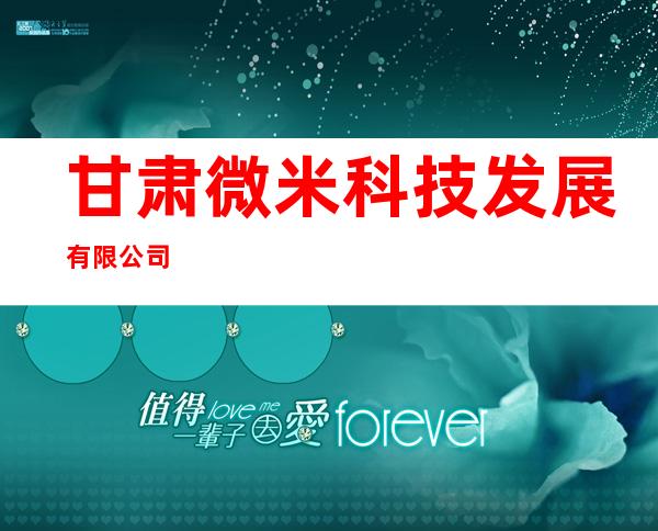 甘肃微米科技发展有限公司