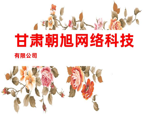 甘肃朝旭网络科技有限公司