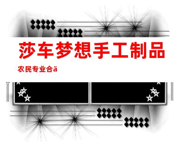 莎车梦想手工制品农民专业合作社