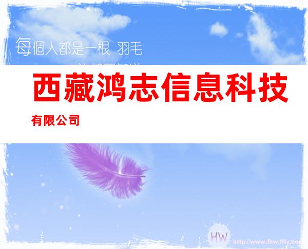 西藏鸿志信息科技有限公司