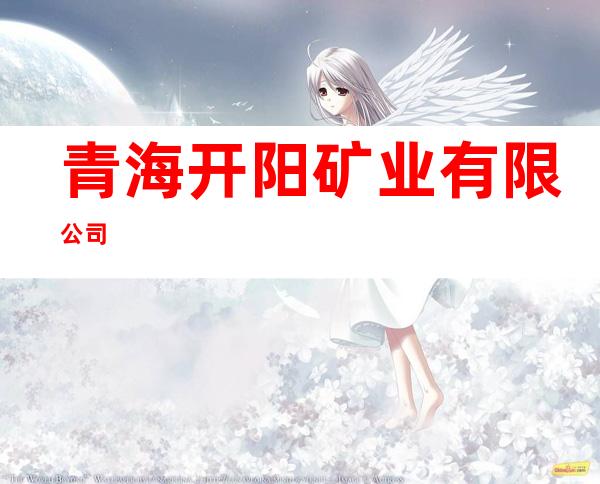 青海开阳矿业有限公司