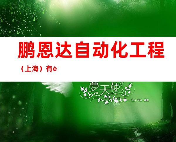 鹏恩达自动化工程（上海）有限公司