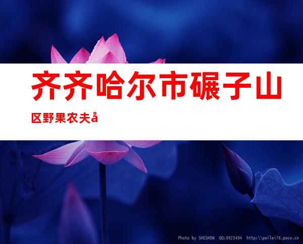 齐齐哈尔市碾子山区野果农夫坚果种植农民专业合作社